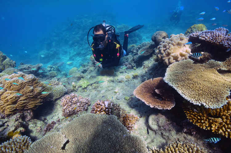 Great Adventures Outer Barrier Reef | Scuba Diving Australia